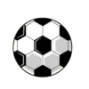 TJ利特维诺夫